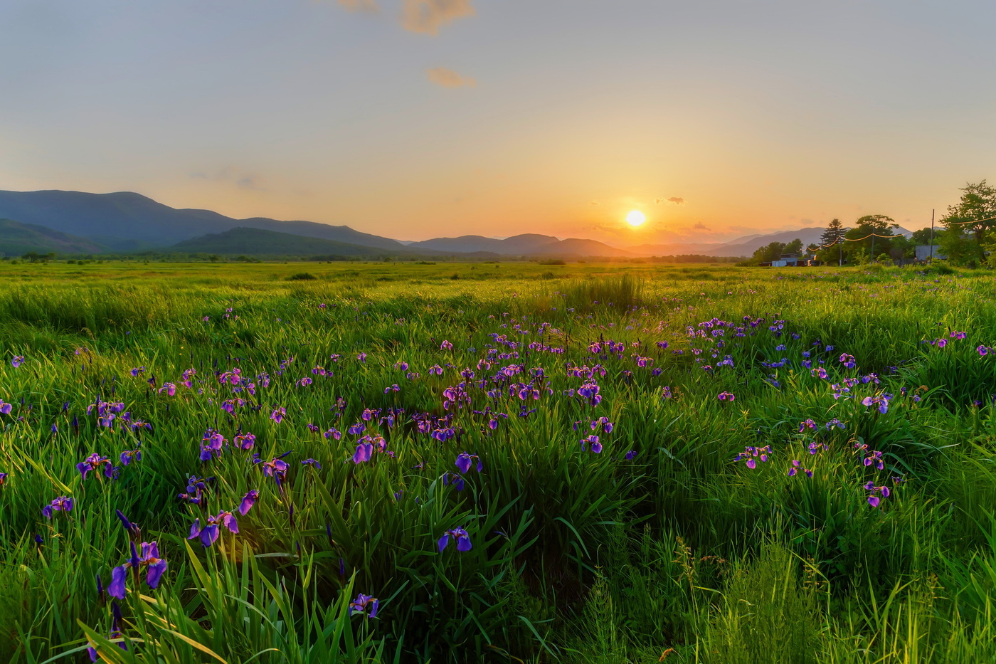 Летний вечер