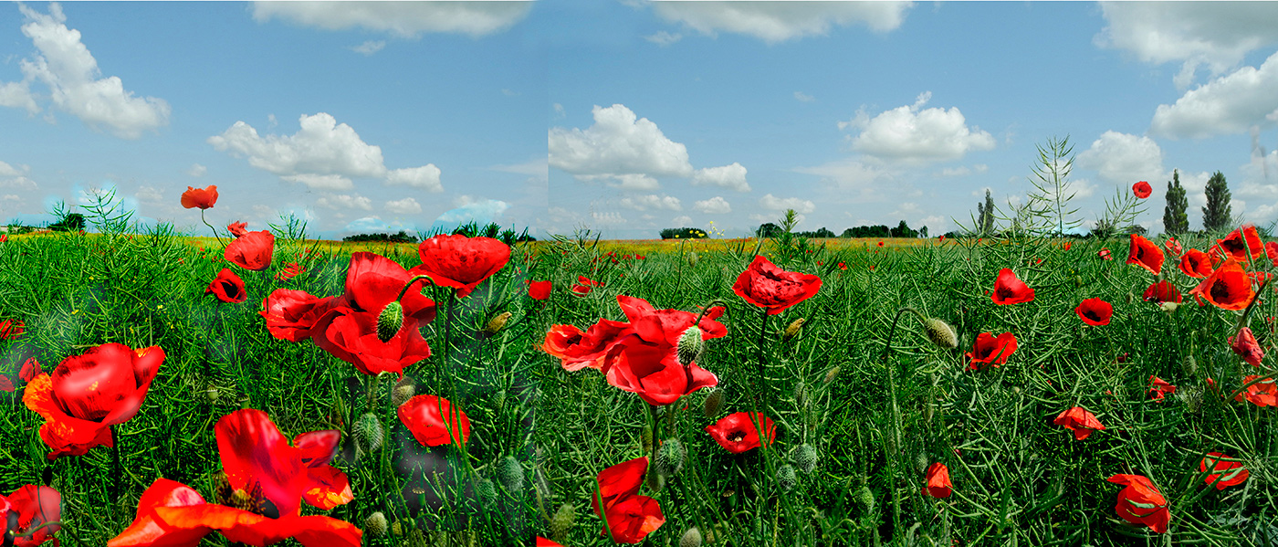 На дальней станции..
