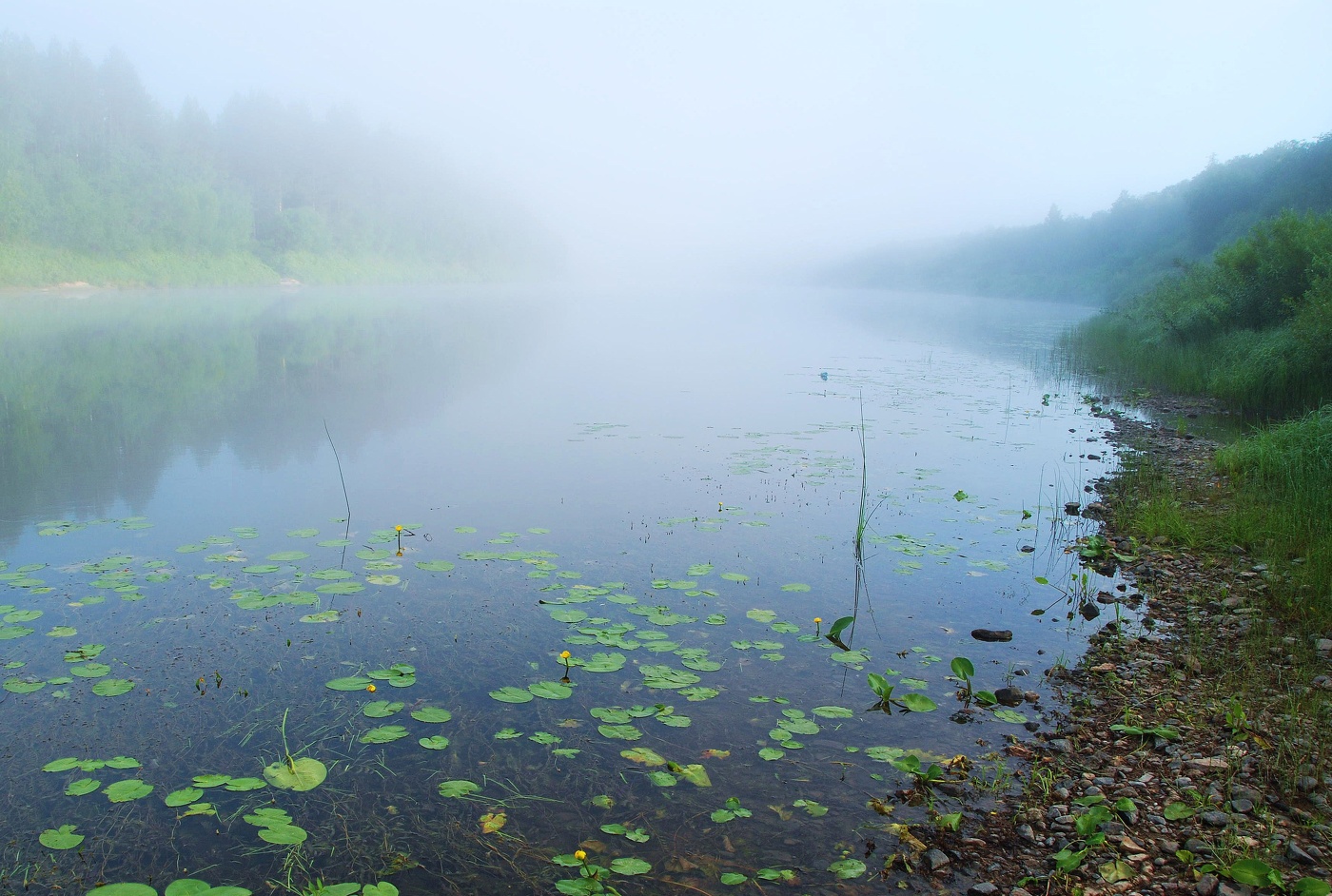 "Утро, туман, тишина - пространство неподвижно..."