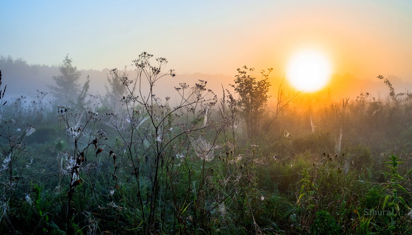 Страна паутин.