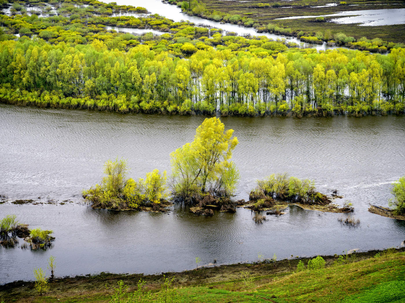 Речной этюд