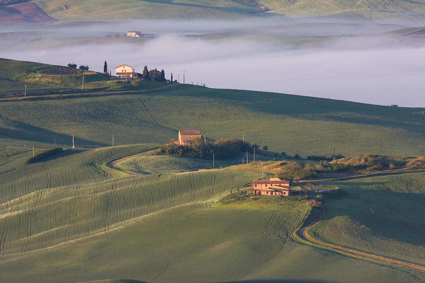 Диагонали тумана