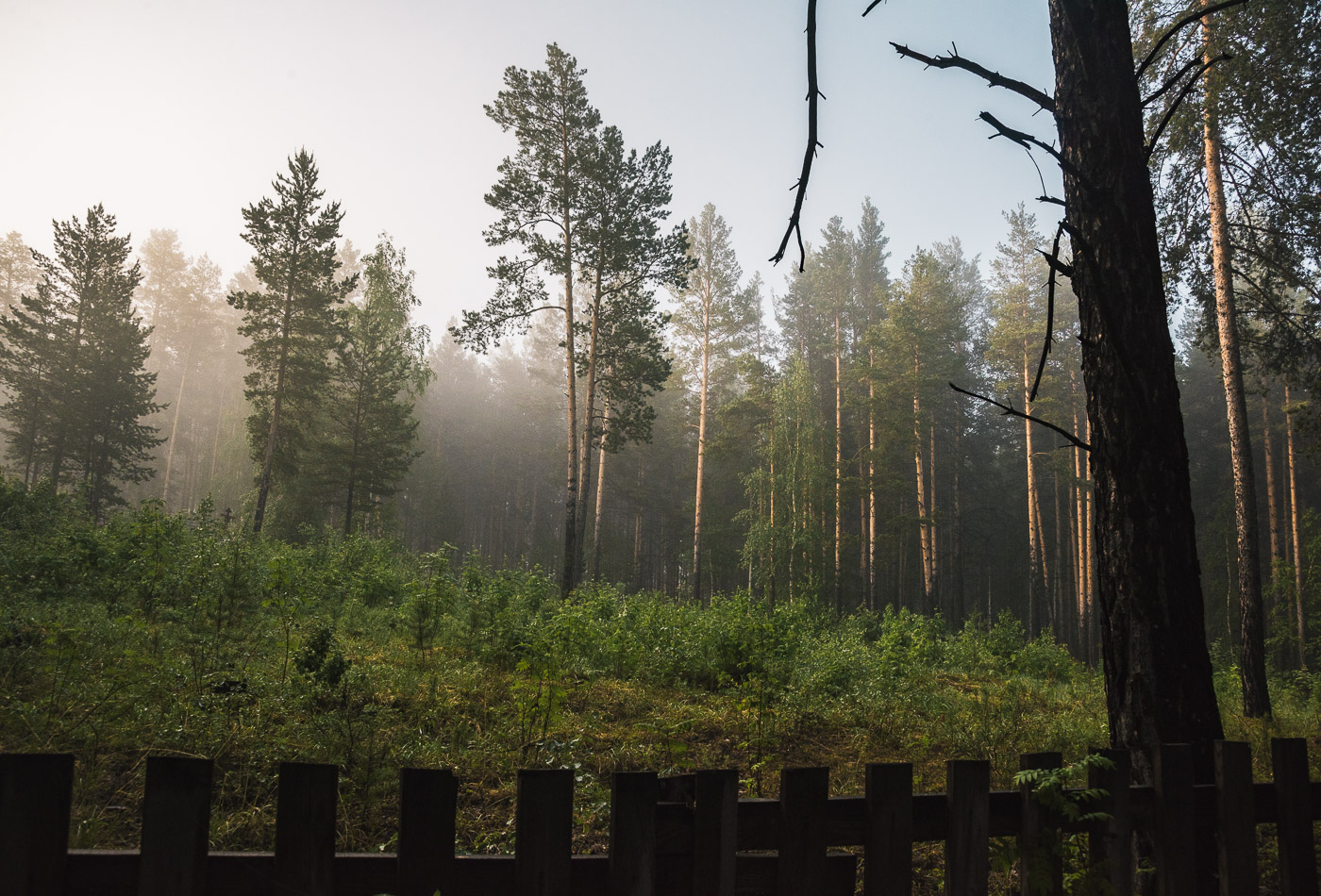 За околицей