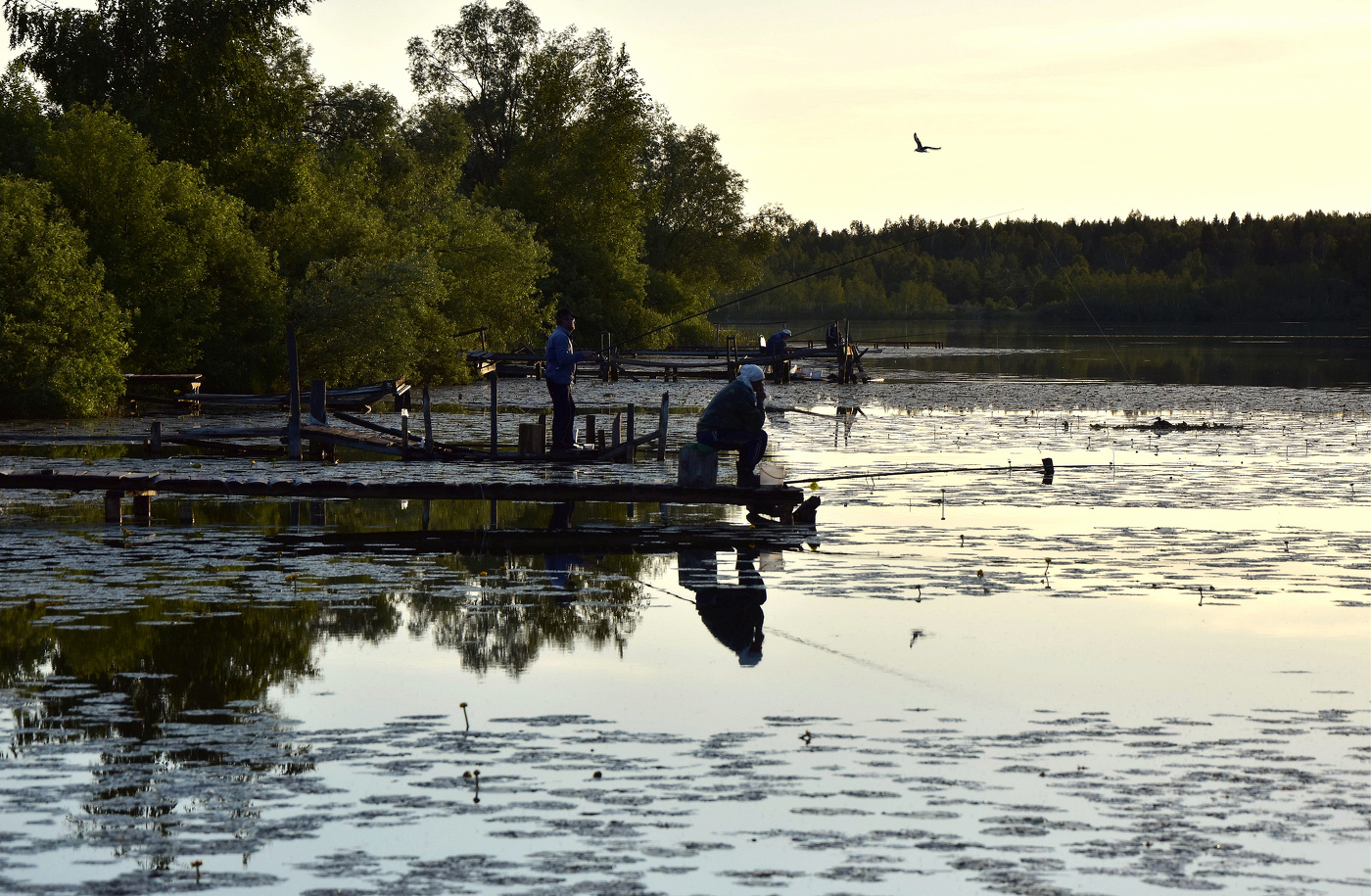 Рыбалка вроде не работа...
