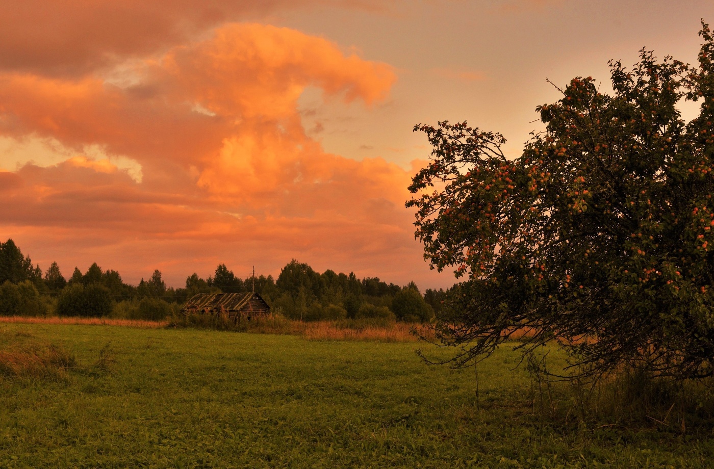 Вечерний этюд ...