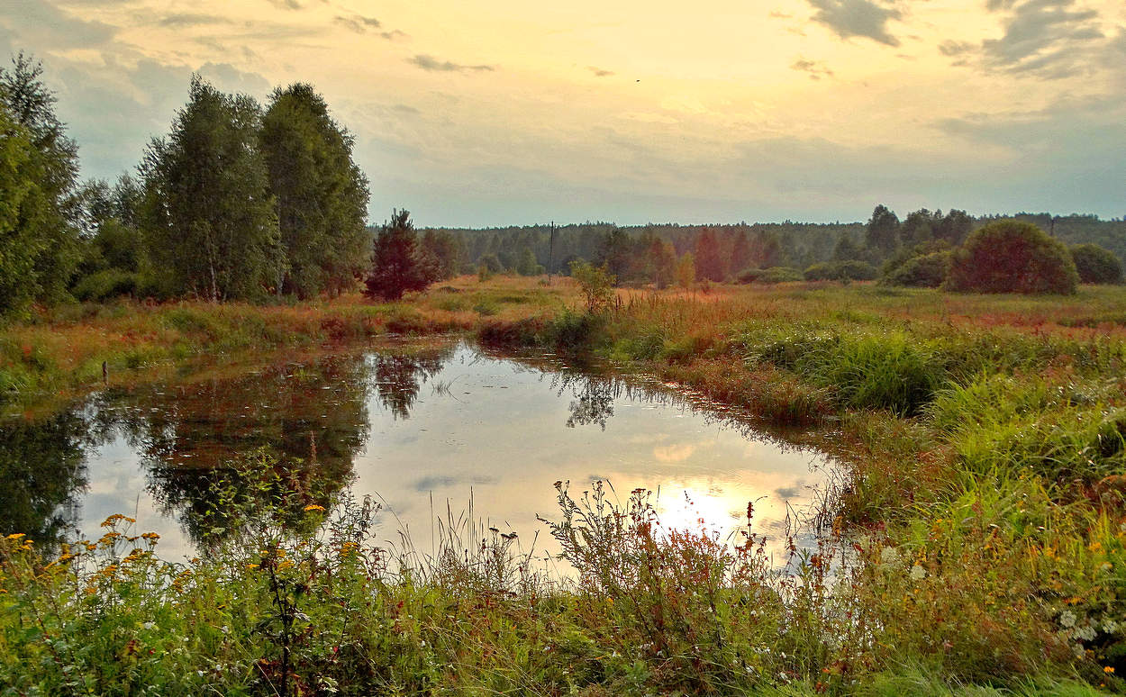 Длинный летний день близится к вечеру
