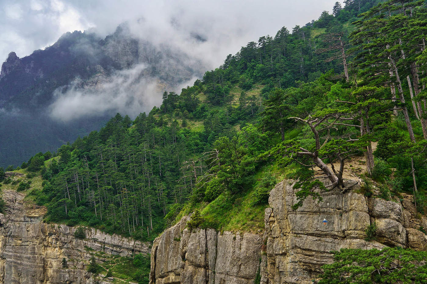 На южных склонах Ай-Петри