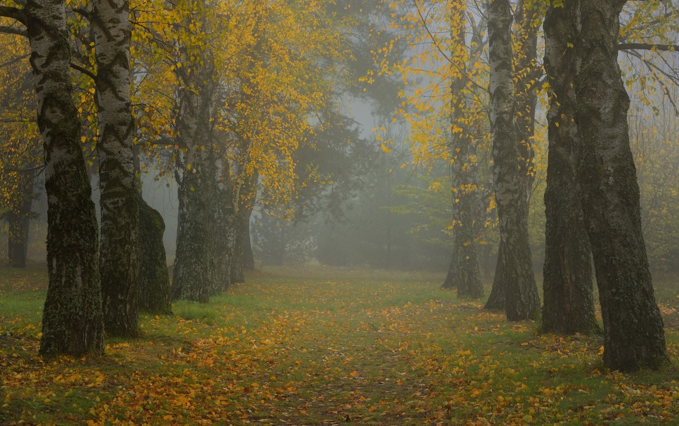 Осенний путь