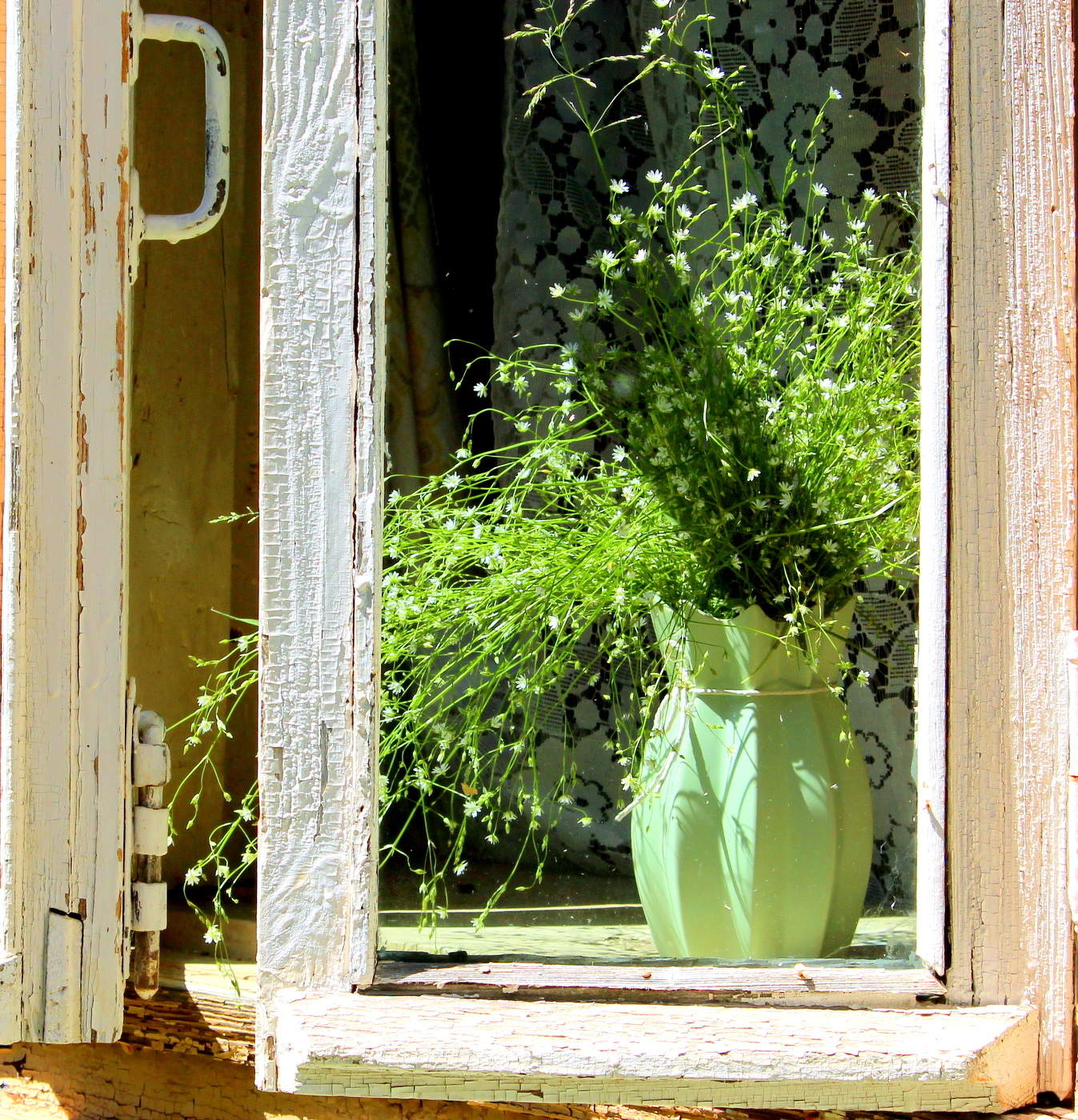 Натюрморт с луговыми травами!