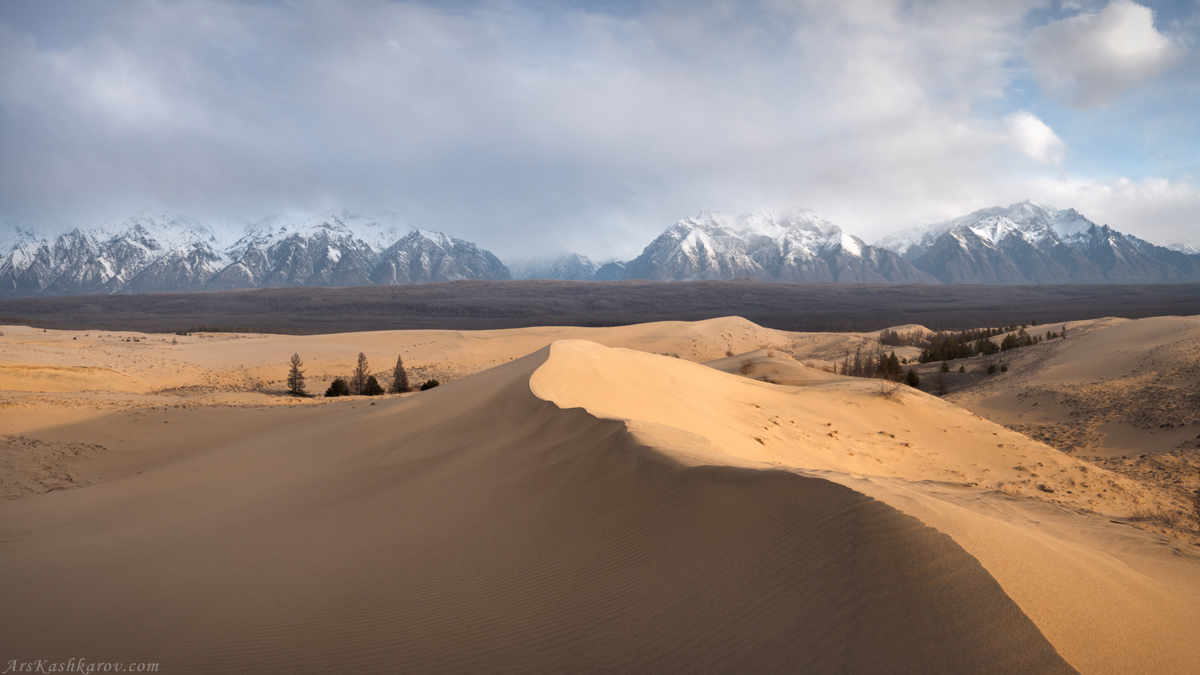 "Забайкальские дюны"