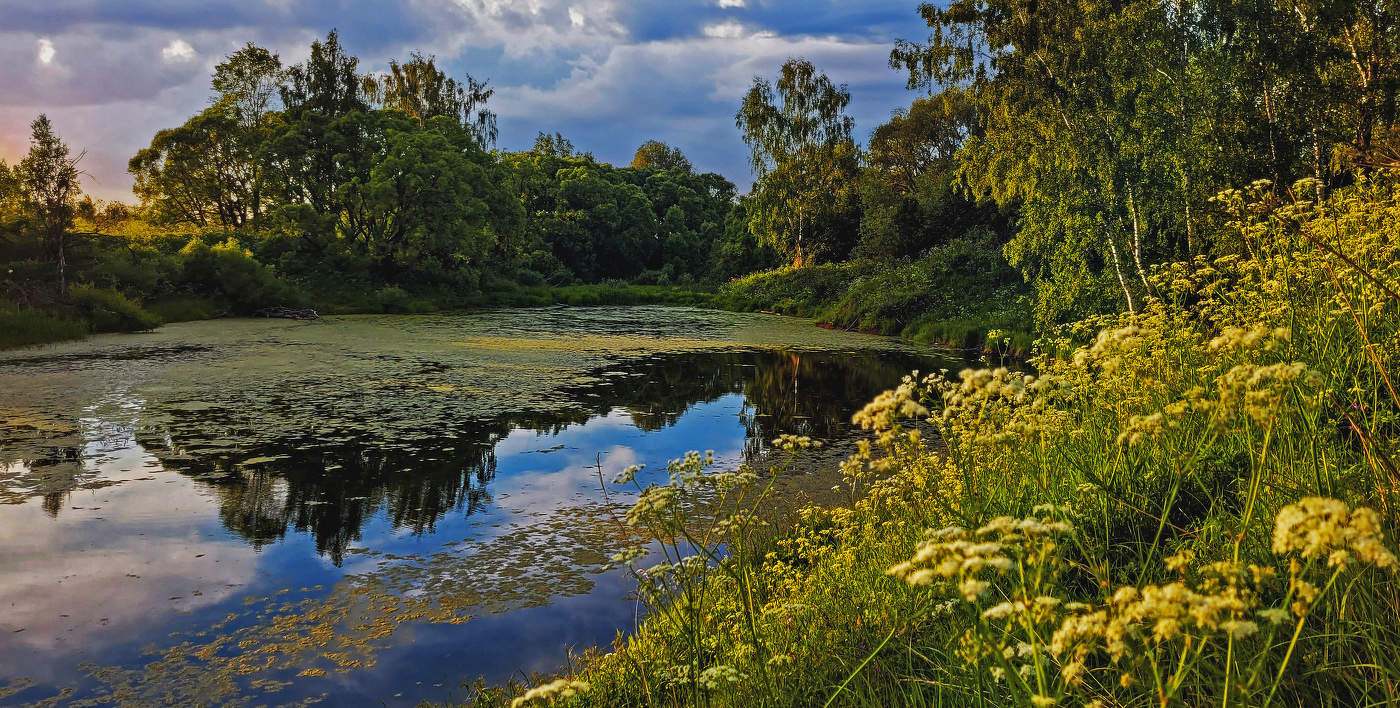 Майский пейзаж.