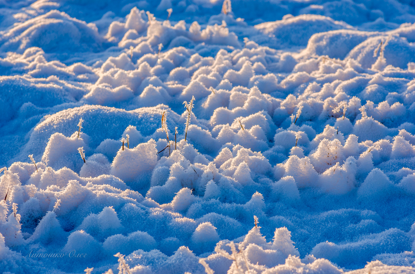 Игрушки зимы.