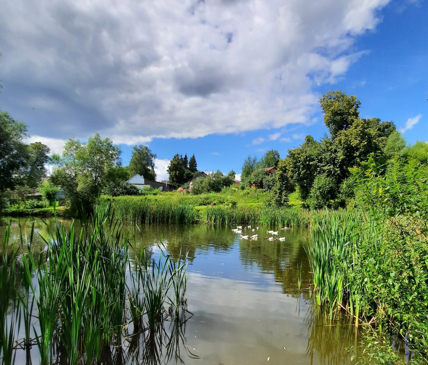Июньский полдень!