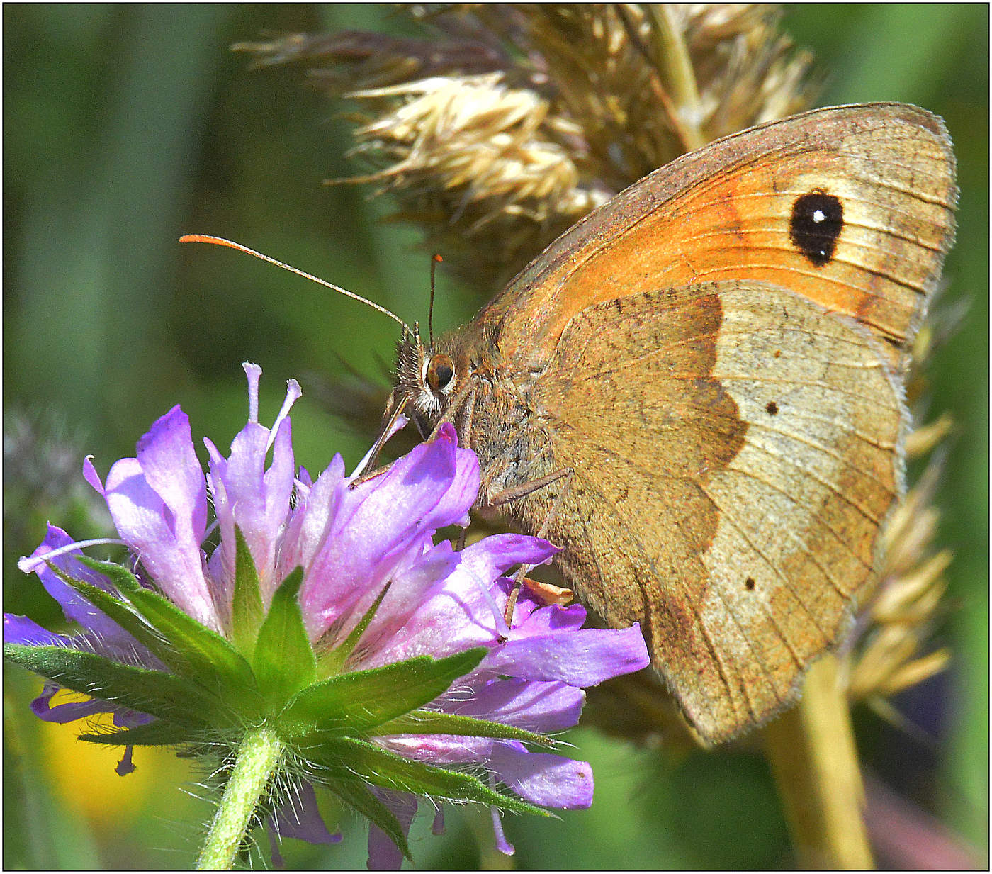 Вот оно - Лето.