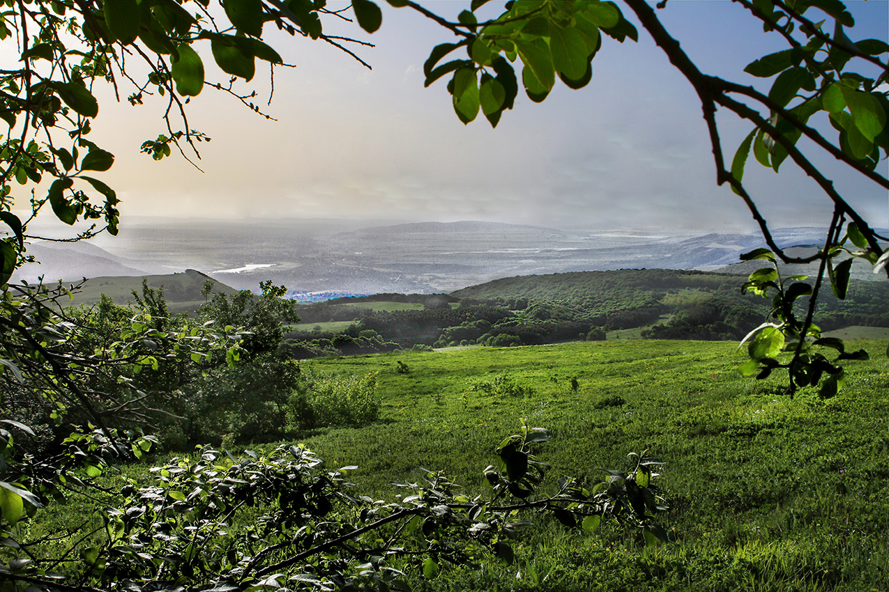 После дождя