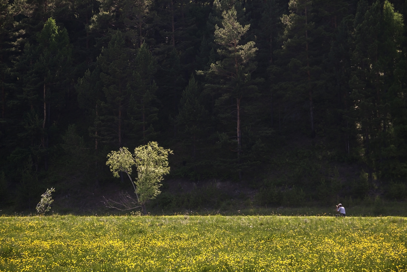 Фотосессия