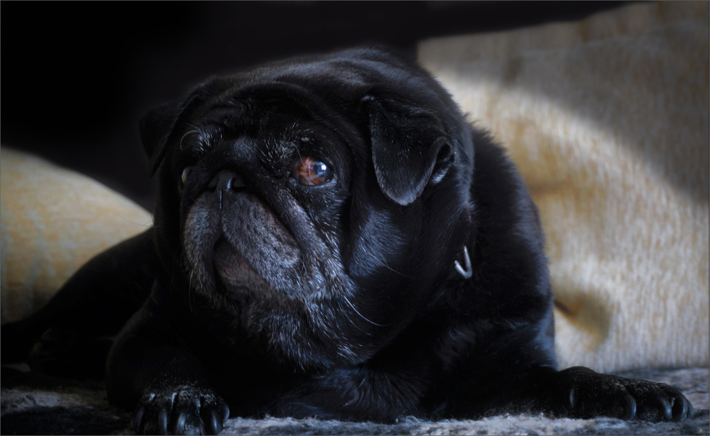 И друг, и брат, и сын