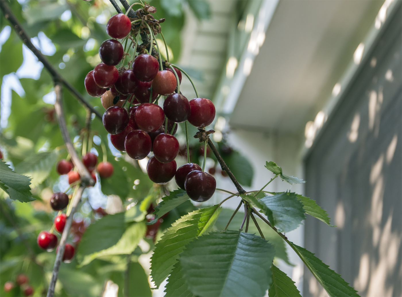 Вкуснятина)