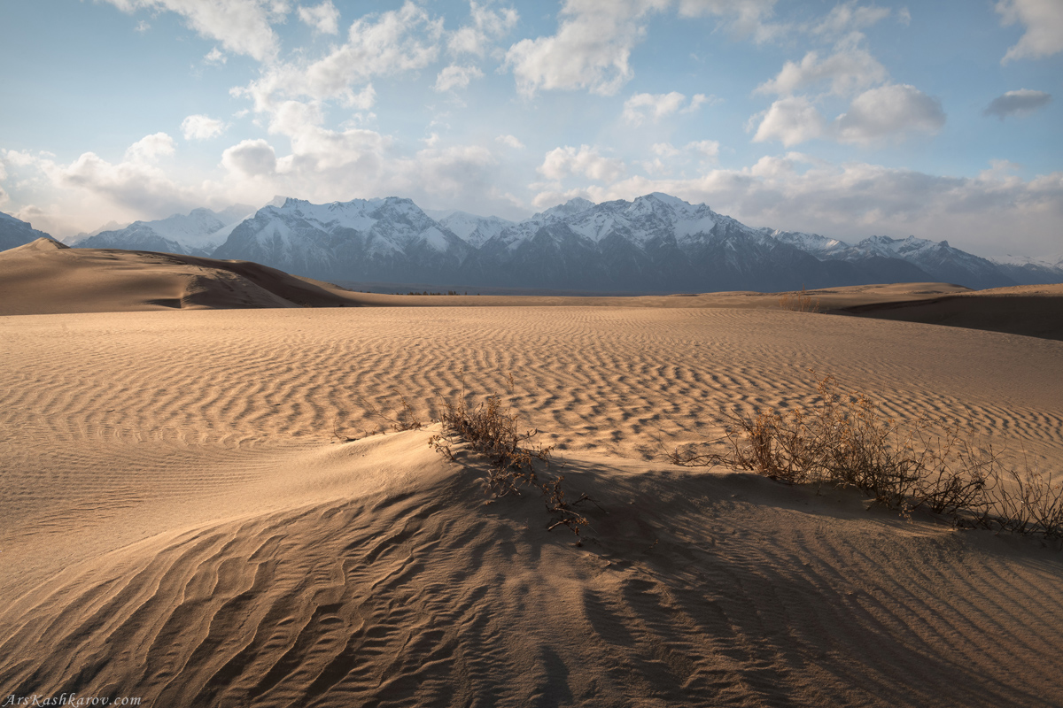 "Чарская пустыня"