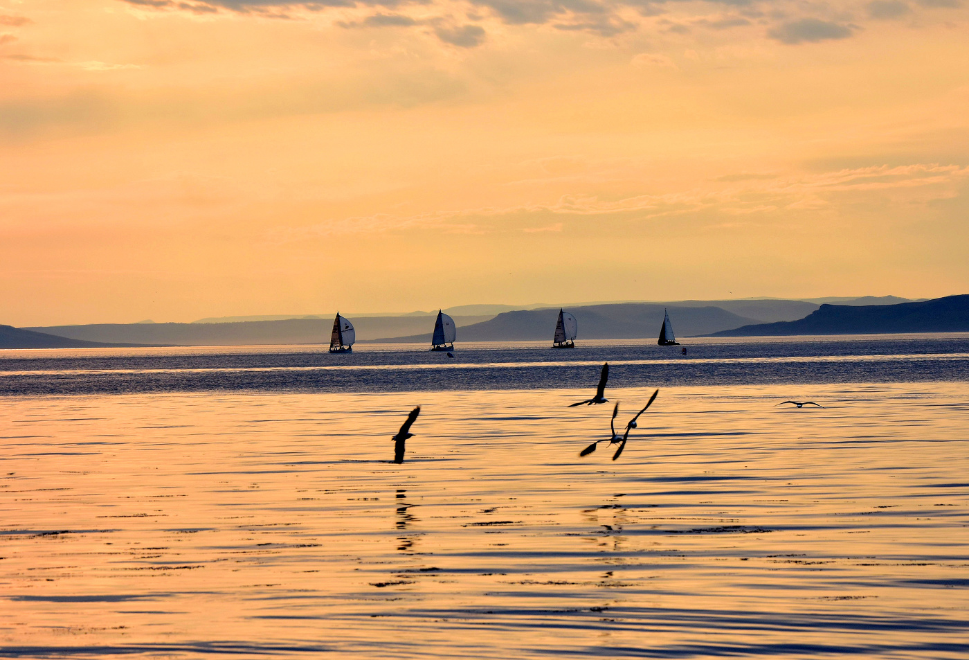 Паруса и крылья.