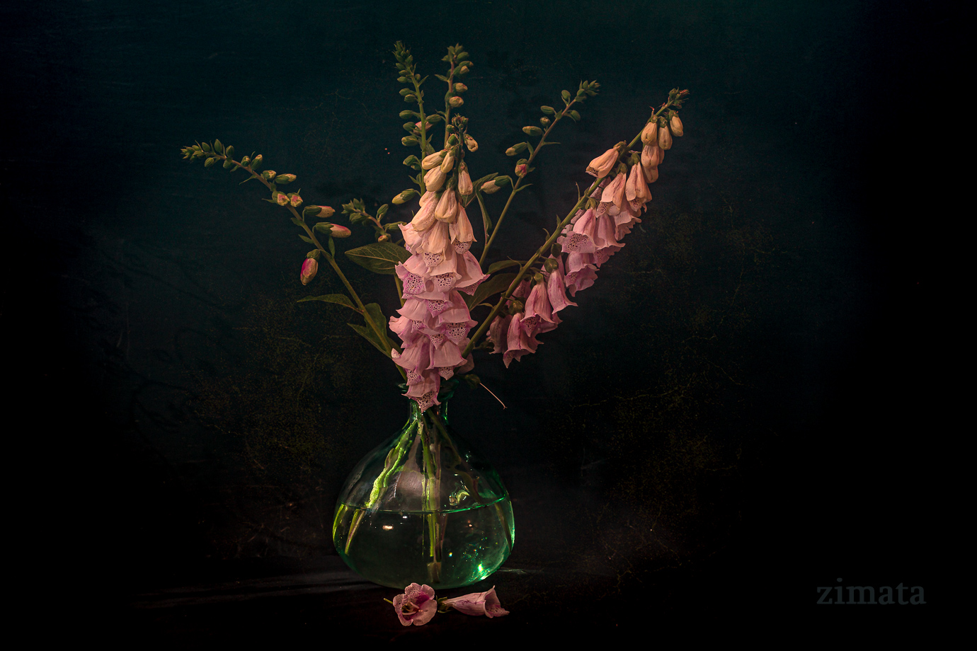 наперстянка