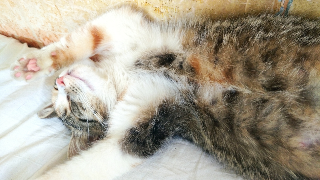 Жизнь вокруг