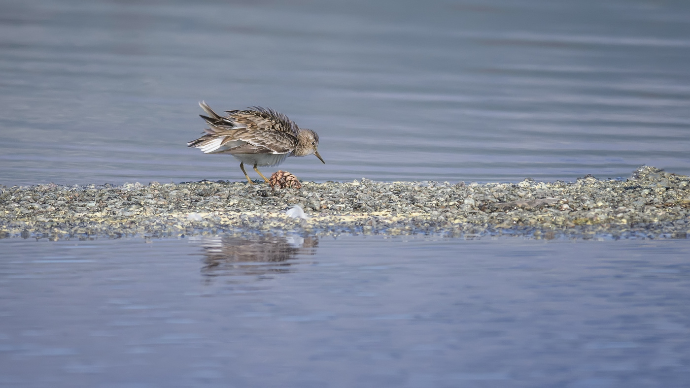После купания