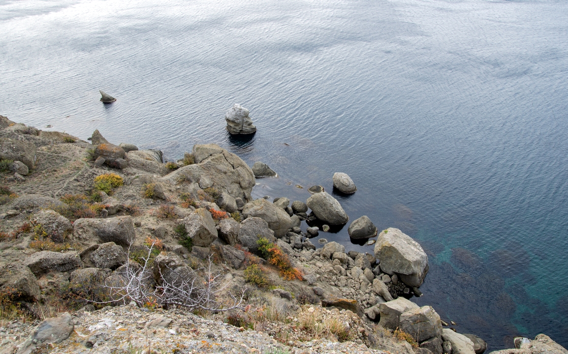 Подкрадывающаяся акула.