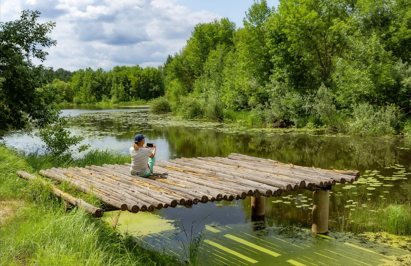 ЛЕТО В ЗЕЛЕНОМ