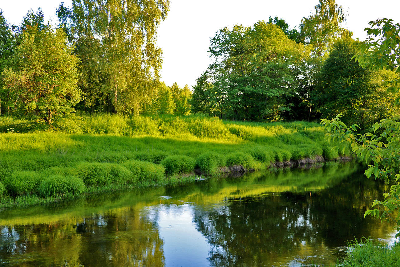 Июньский пейзаж