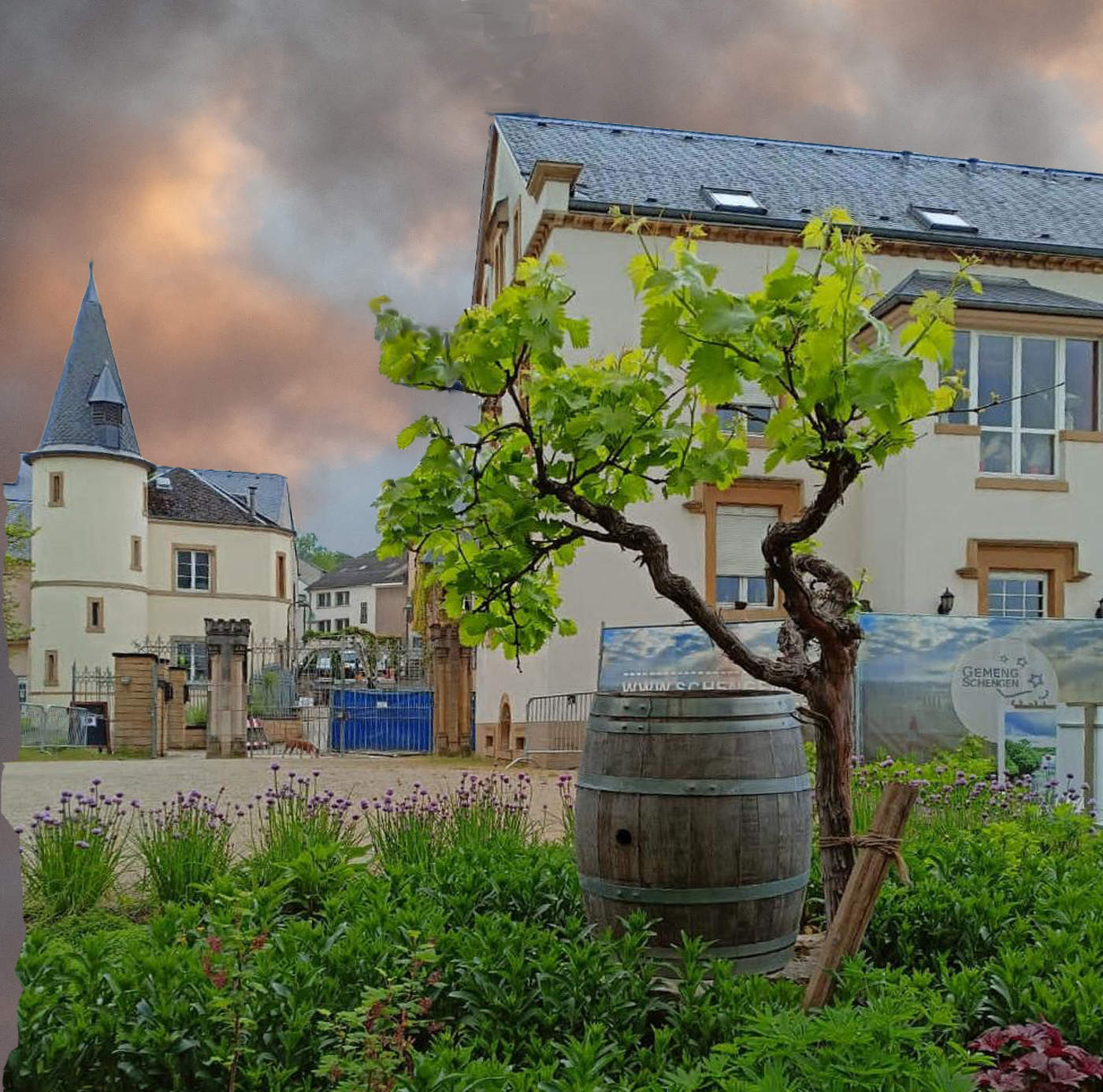 Зеленый уголок