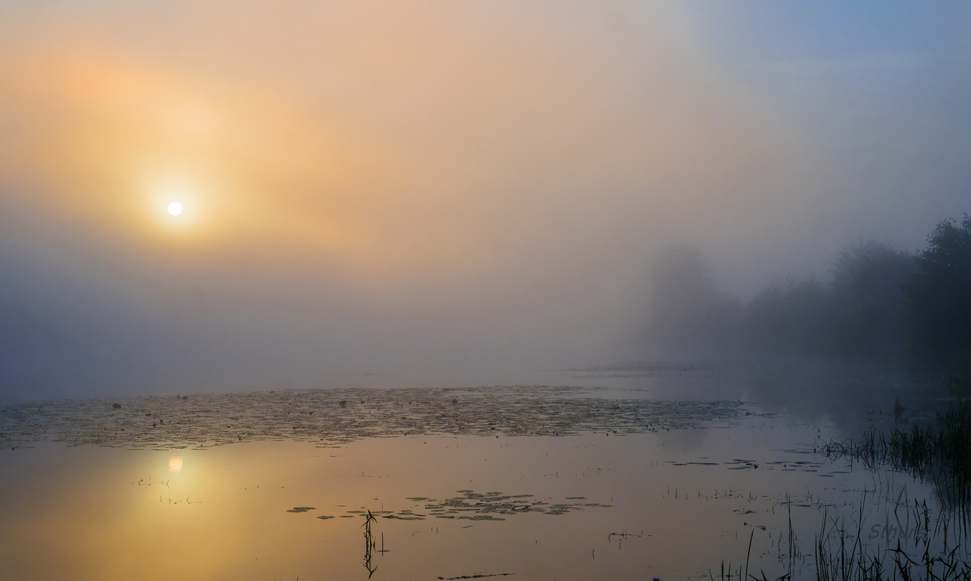 На озере туман.