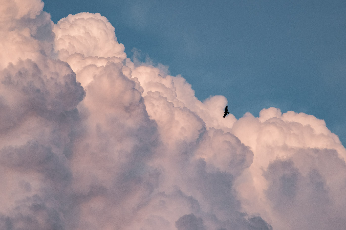 А он, мятежный, ищет бури...