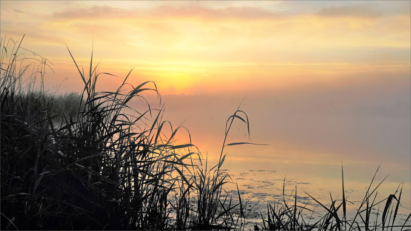 Утренняя нега