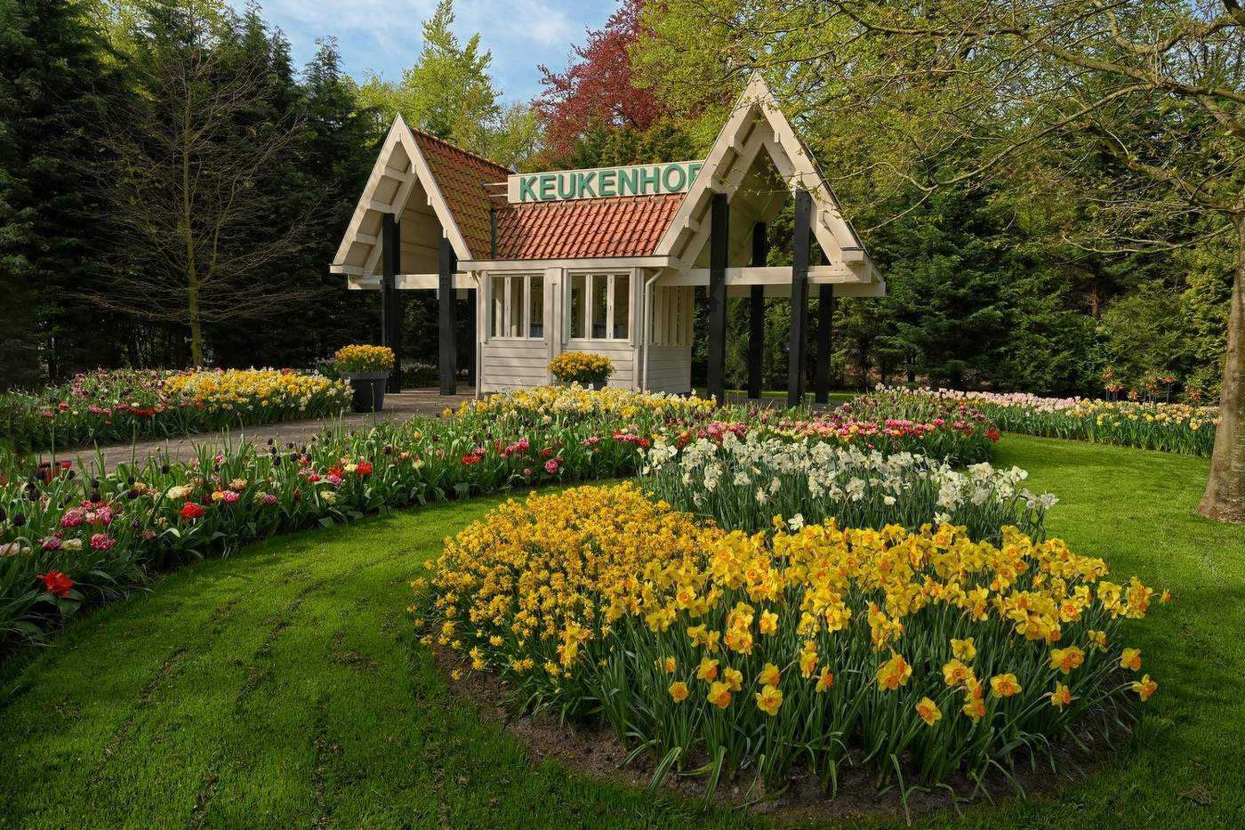 Парк тюльпанов "Кёкенхоф" в Голландии