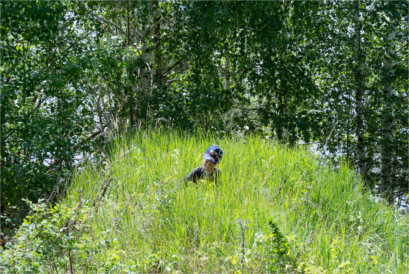 ягодная планета