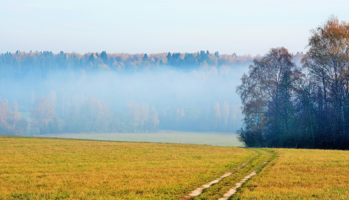 "Туман, мой друг лохматый, ты, как и я, седой..."
