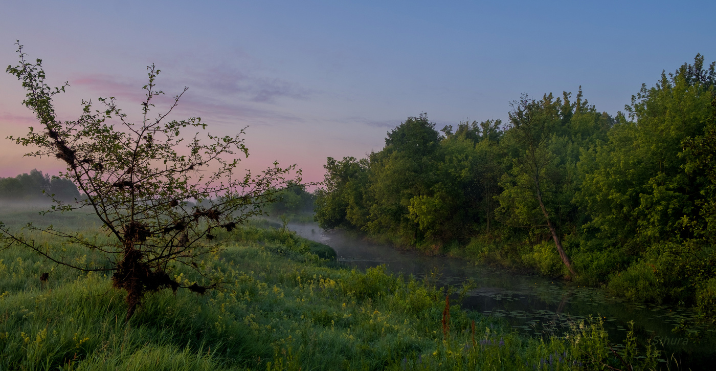 Речка Палец.