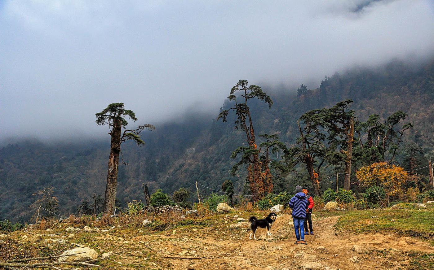 Вечер в ущелье реки Марсианди