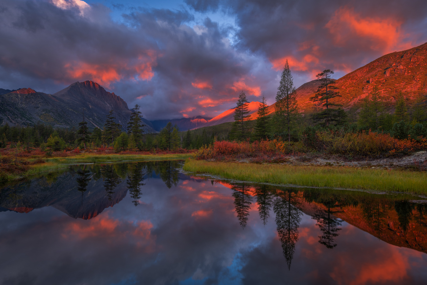 Краски осени...