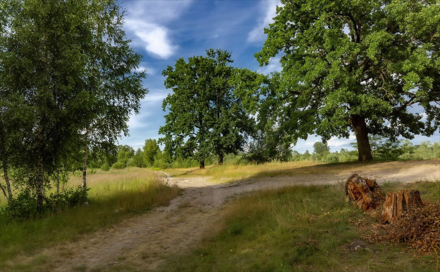 ЛЕТО ЗА ГОРОДОМ