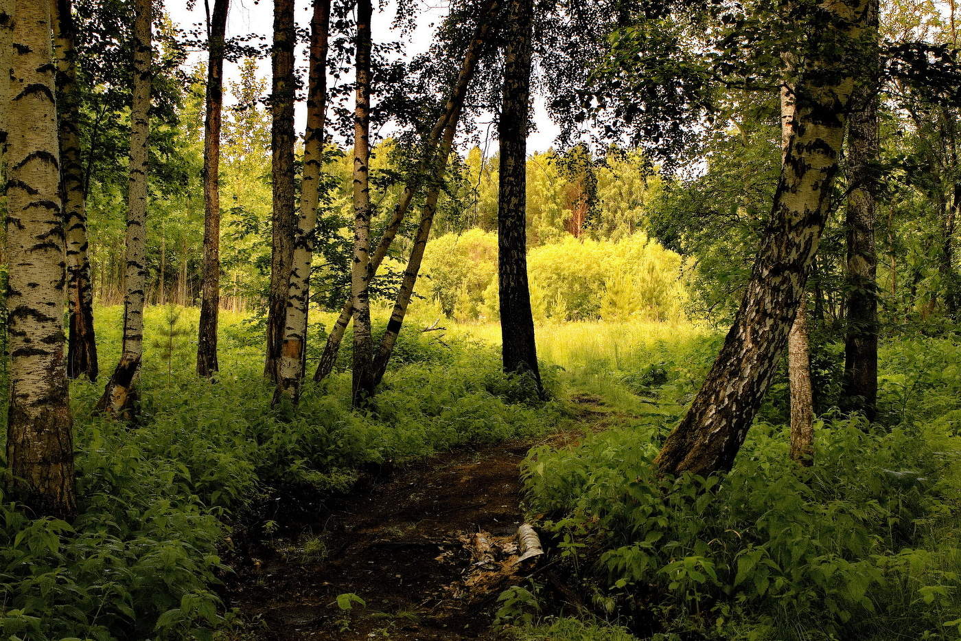 **Летним днём.*