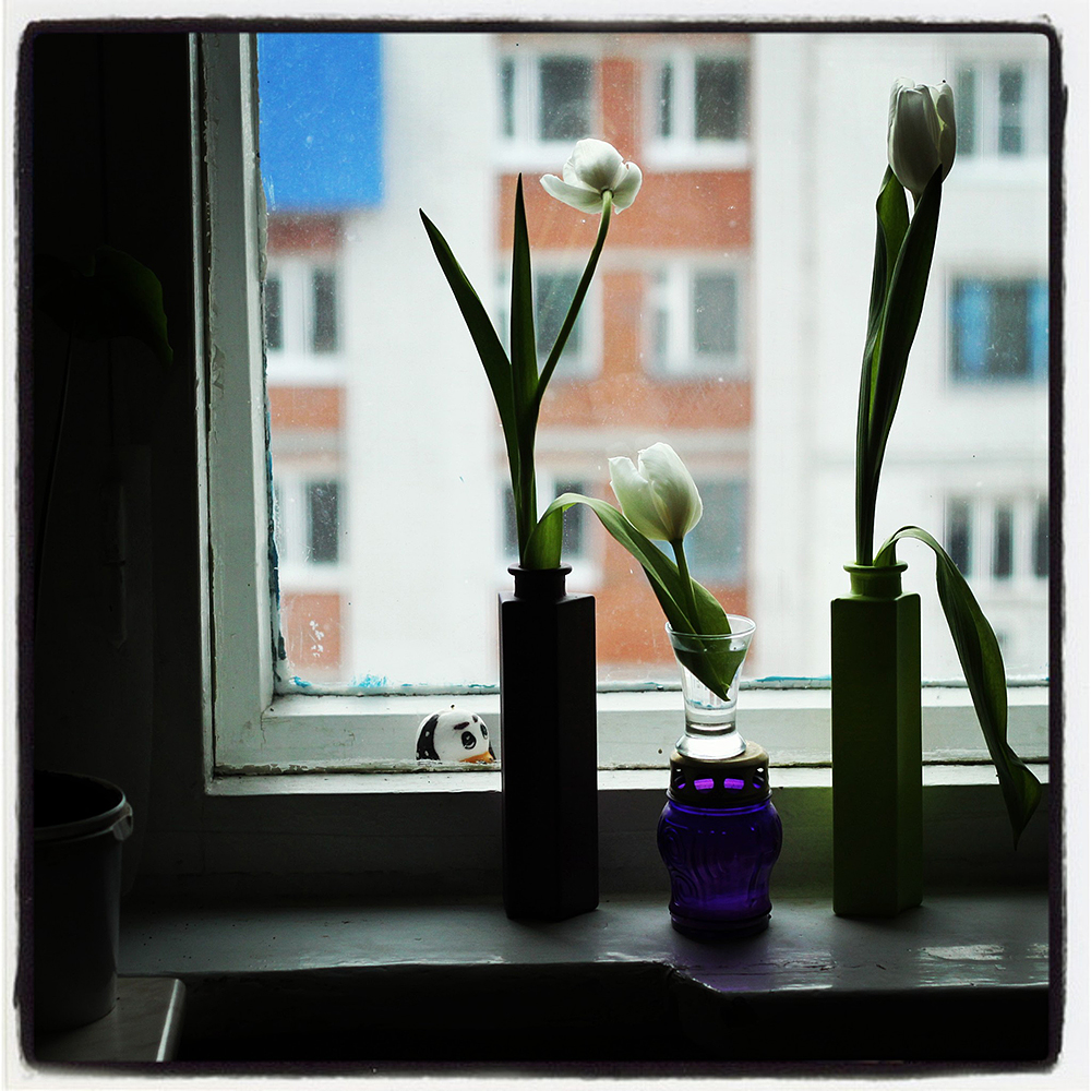 8 Марта навсегда