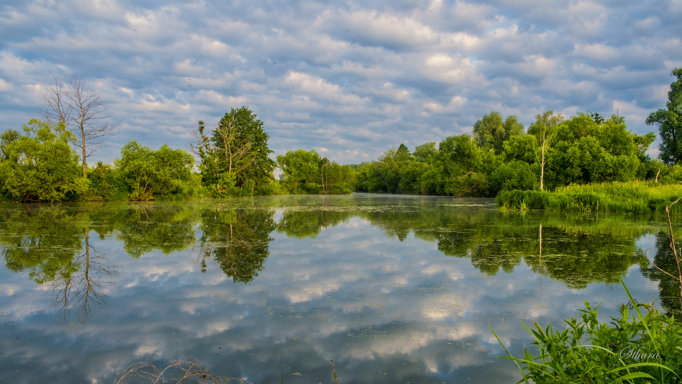 Утренние облака.