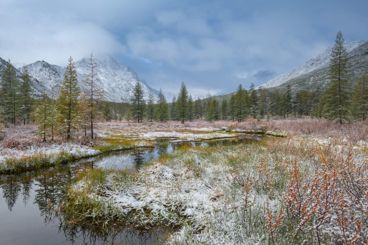 Прохладное утро осени...