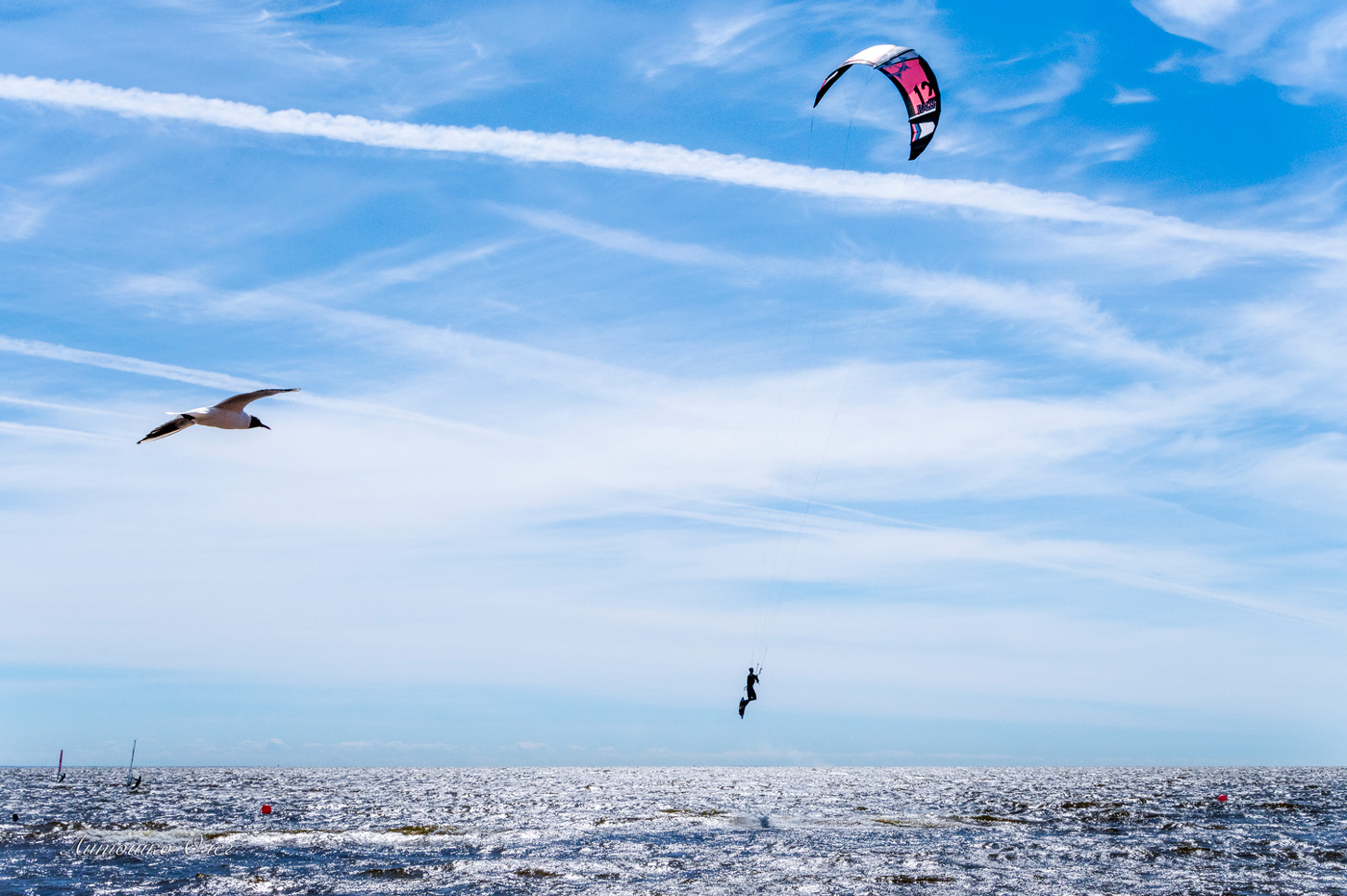 Финский залив.