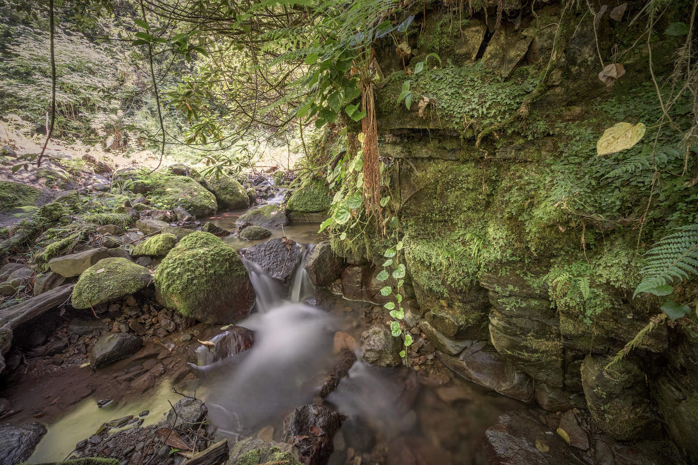 Джунгли Капнистави