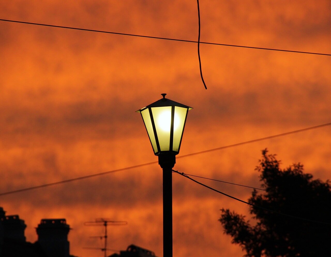 Из серии «Фонари»