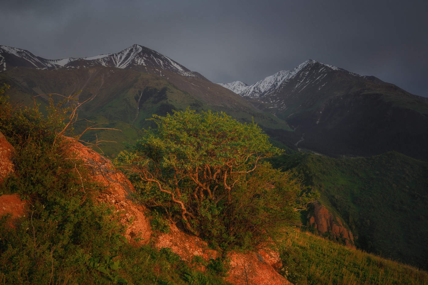Ущелье Шамси на закате 4. Кыргызстан.