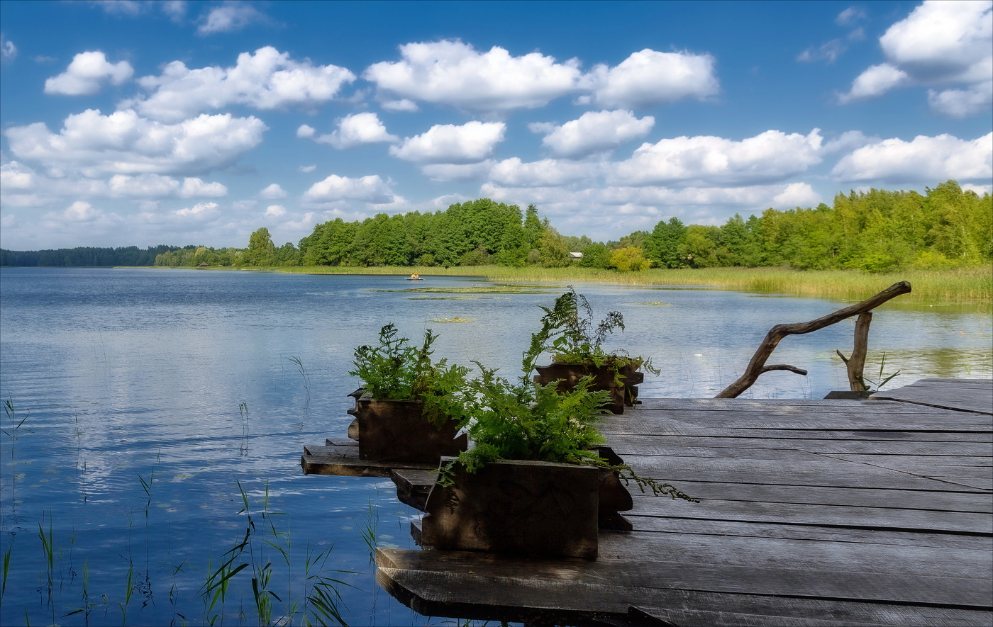 Заповедный остров